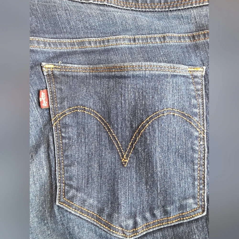 Levi's Pull-On Skinny Jeans Size 10 Blue Comfy Stretch Cute Bx-3167